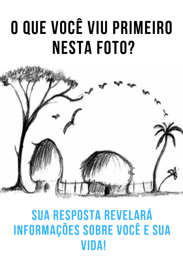 O que você viu primeiro nesta foto?