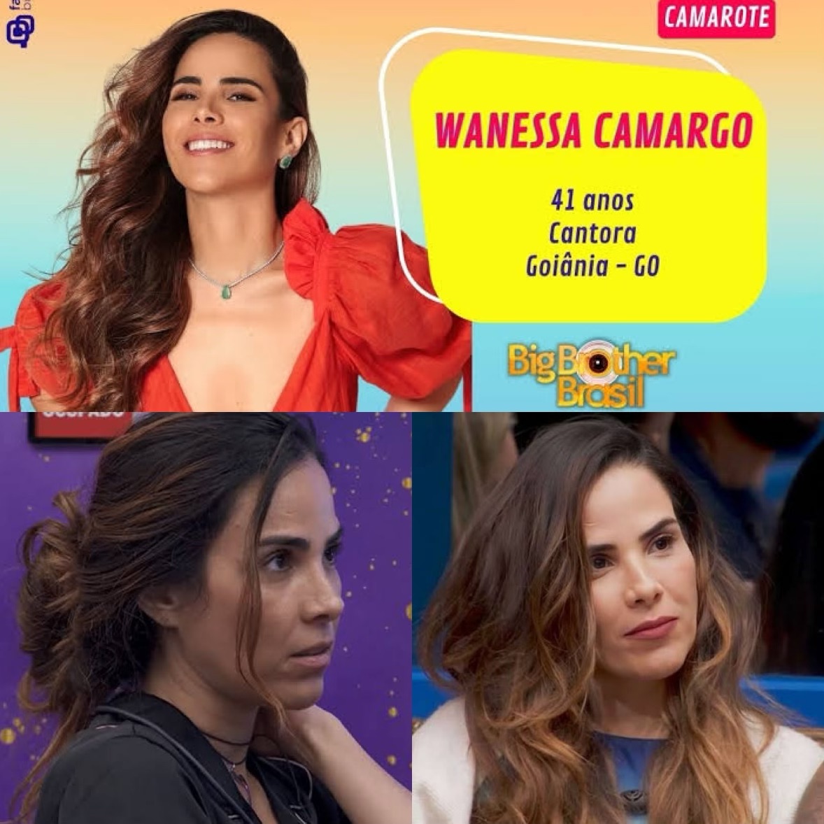 Equipe de Wanessa se pronunciou sobre expulsão da cantora