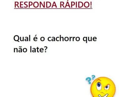 Qual é o cachorro que não late?